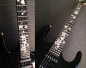 Preview: FT-297MN-G Inlay Stickers, Magnolia Tree with Pink Flowers Fret Markers