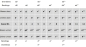 Preview: Seydel 54482 NONSLIDER Chromatic - Orchestra Stimmung Mundharmonika
