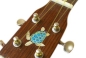 Preview: UK-264ST Inlay Stickers, Body-Sea Turtle