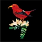 Preview: UK-268HHC Inlay Stickers, Body-S-Hawaiian Honeycreeper