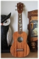 Preview: UKF-260TH-S Inlay Stickers, Fret Mark-Ukulele Tree of Life with Hummingbird