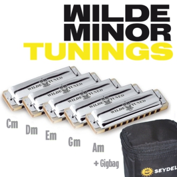Seydel 1847 CLASSIC Wilde Minor (Moll) Tunings 16221 im Set in Cm, Dm, Em, Gm und Am