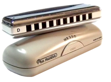 Suzuki Mundharmonika Pro Master MR-350 V in E