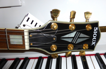 SIOUX CP-2000 BK Custom DeLuxe E-Gitarre - made in Korea