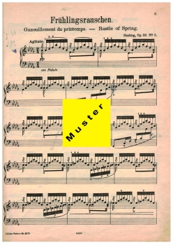 Edition Peters Frühlingsrauschen Nr. 2870