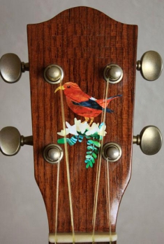 UK-268HHC Inlay Stickers, Body-S-Hawaiian Honeycreeper