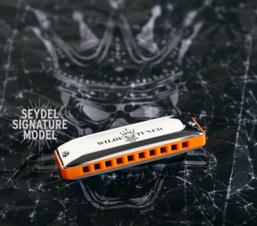 Seydel SESSION STEEL Wilde Rock Tuning 10320 in A