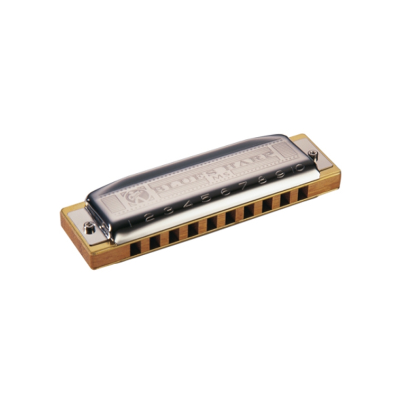 Hohner  Blues Harp MS in A