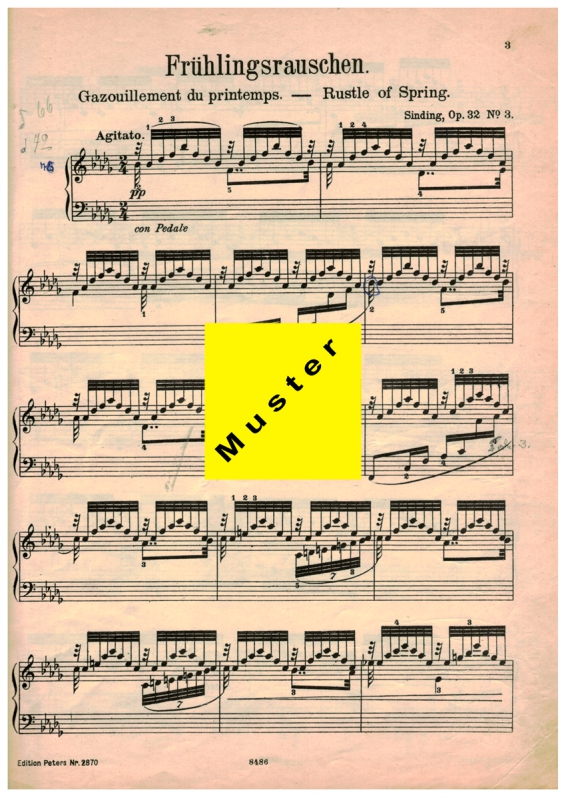 Edition Peters Frühlingsrauschen Nr. 2870