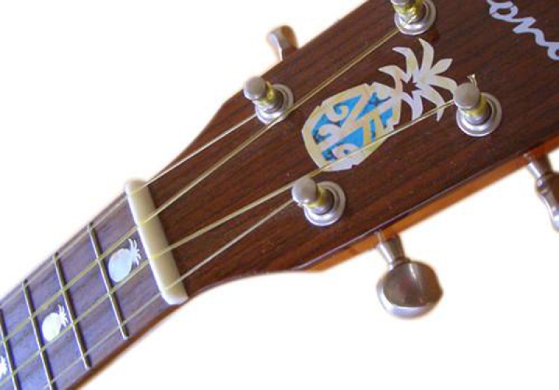 UK-267PH Inlay Stickers, Pineapple