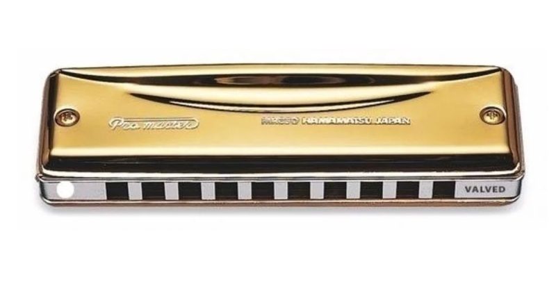 Suzuki Promaster MR-350GV Gold Valved Mundharmonika in G